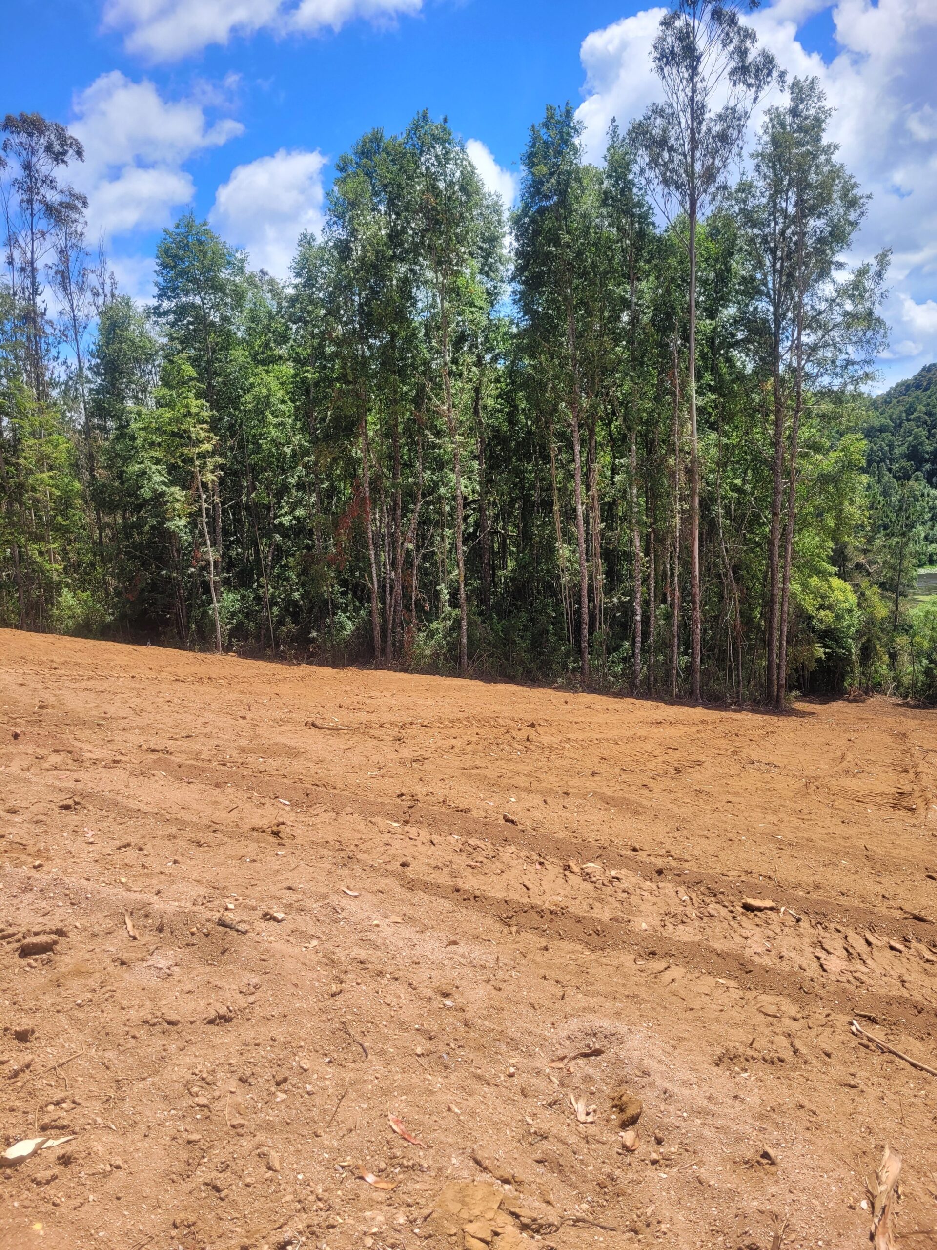 🌿 ¡Oportunidad en Terrazas Valdivianas! 2 Parcelas  – 5.000 m² c/u – $80.000.000