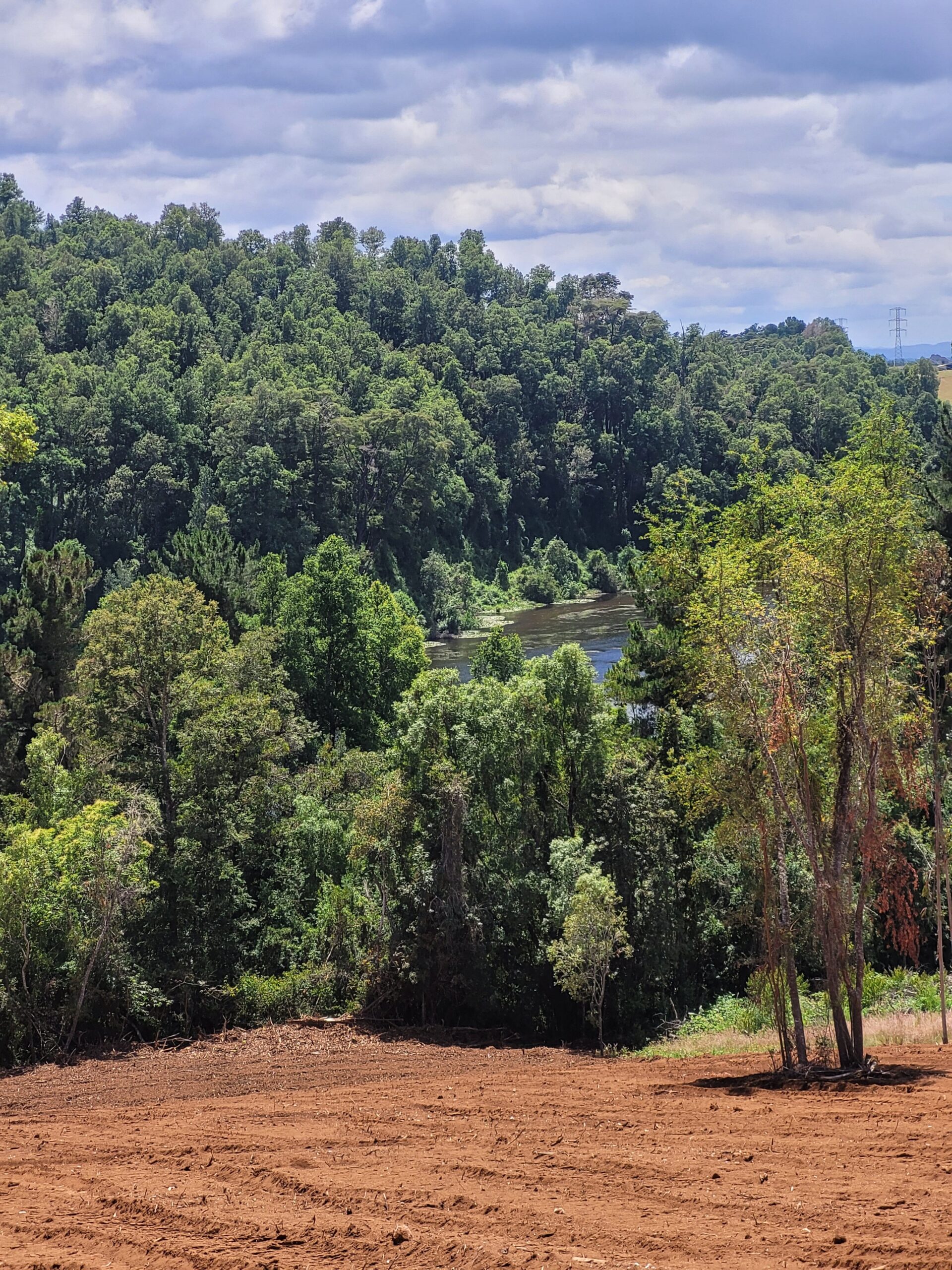 🌿 ¡Oportunidad en Terrazas Valdivianas! 2 Parcelas  – 5.000 m² c/u – $80.000.000